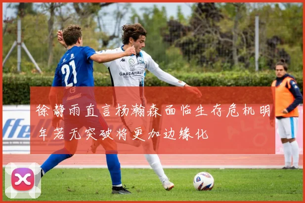 徐静雨直言杨瀚森面临生存危机明年若无突破将更加边缘化